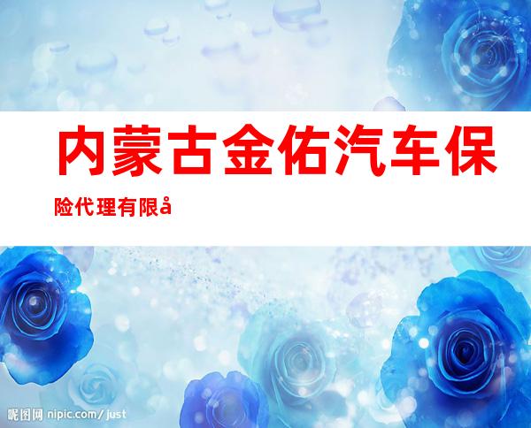 内蒙古金佑汽车保险代理有限公司
