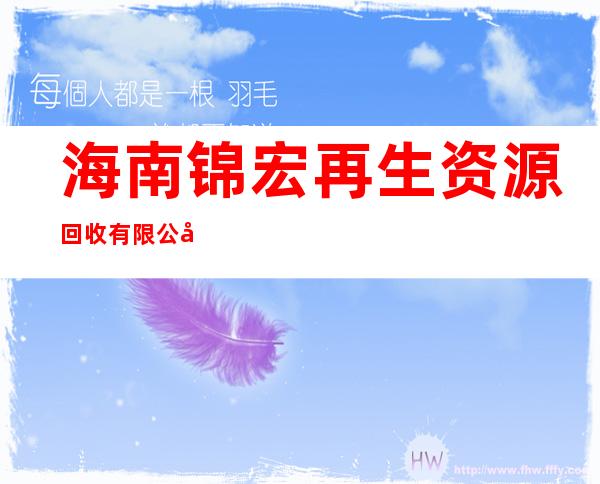 海南锦宏再生资源回收有限公司